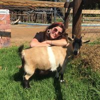 Lauren Tennent的照片