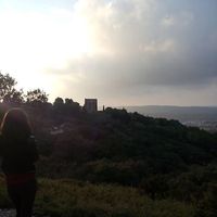 Fella Deghiche的照片