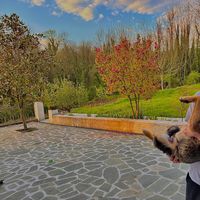 Aristide François  Nebut's Photo