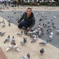 Tarek Fekry的照片