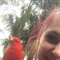 Lison Dejouy's Photo