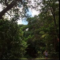 Caitlynn Thornton的照片