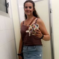 Lauren McMillan的照片