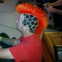 Nick Cassidy's Photo