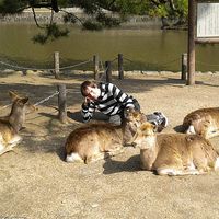 Simon Wechsler's Photo