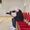 Raed Fennani's Photo