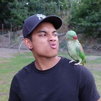 Carlos Fernando's Photo