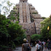 Jade Carvalho's Photo