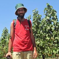 Le foto di Yedidya Meir