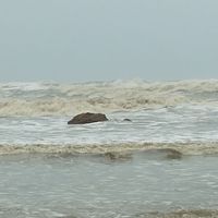 Avinash  makam's Photo