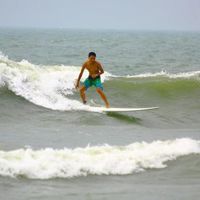 A Wave Catch's Photo