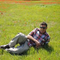 Tal  Horwitz的照片