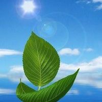 Durmuş Aktaş's Photo