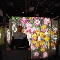 Photos de Alexandra Dubinchik