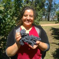 Фотографии пользователя Dánisa Gardere