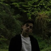 Slavik Koichev的照片