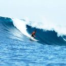 Long Weekend BALER SURFING trip 🌊's picture