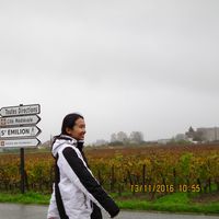 Zdjęcia użytkownika Ying Sonongbua