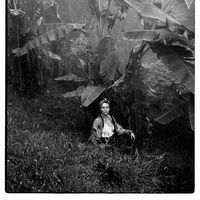 Julianne Canal的照片