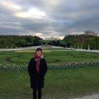 Esther Knoop的照片