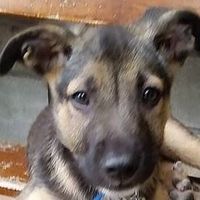 Marand Santoro's Photo