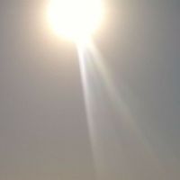 Magali Braidotti's Photo