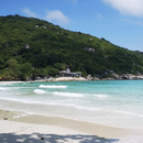 Pre-full moon party beach meet and greet's picture