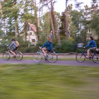 Katharina Schmidt's Photo