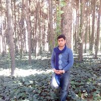 Hamid Jafari's Photo