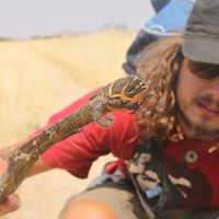 Olaf Gladis的照片