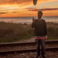 Joao Rodrigues Seagull's Photo