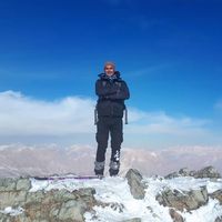 mohammad ashegh's Photo