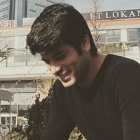 Ehsan Akrami的照片