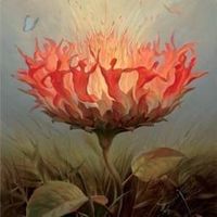 Melinda Maxime的照片