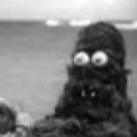 Fotos von Shasta White