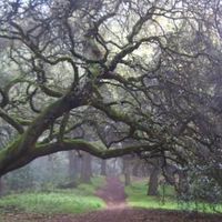 Christopher Cook的照片