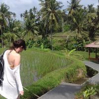 Фотографии пользователя Rosa Pazzarosa