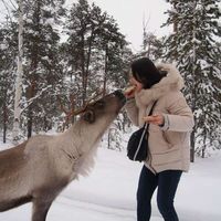 Jongsun Kim的照片