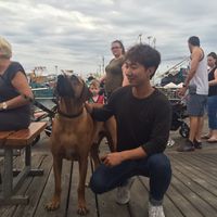 Fotos de Seungbo Sim