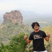 Crazy Traveller's Photo