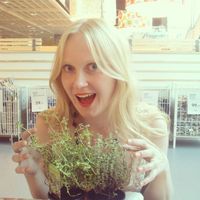 Fotos de Irina Kardakova