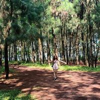 Trâm Nguyễn的照片