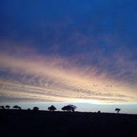 Rachid Bassam's Photo