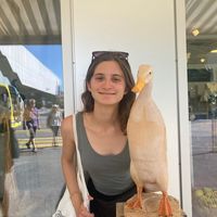 Magdalena Guzek的照片