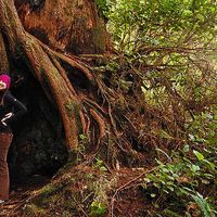 Jessica and Chris Hayes的照片