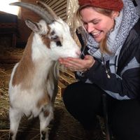 Johanna Scherf的照片