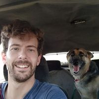 David Vargas的照片