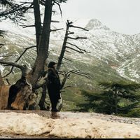 Фотографии пользователя Billel & Marwa