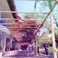 Erika Tsunekuni的照片