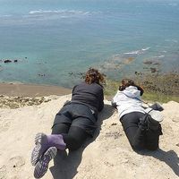 Angéline Pelegrin's Photo